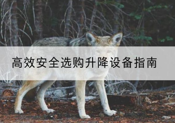 乾安升降货梯厂家推荐-*安全选购升降设备指南