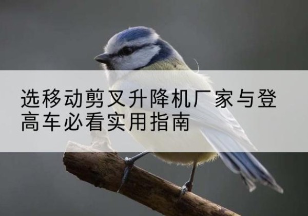 乾安电动升降机厂家-选移动剪叉升降机厂家与登高车必看实用指南