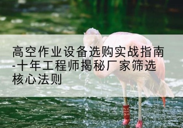 乾安剪叉式升降机厂家-高空作业设备选购实战指南-十年工程师揭秘厂家筛选核心法则
